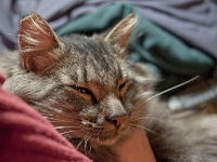 Lisa and Hermes night DS couch P2030457